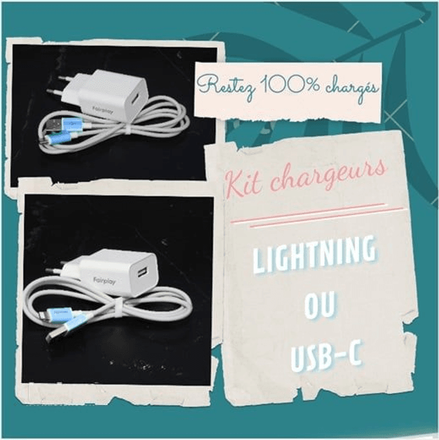 cable + adaptateur usb-c 
